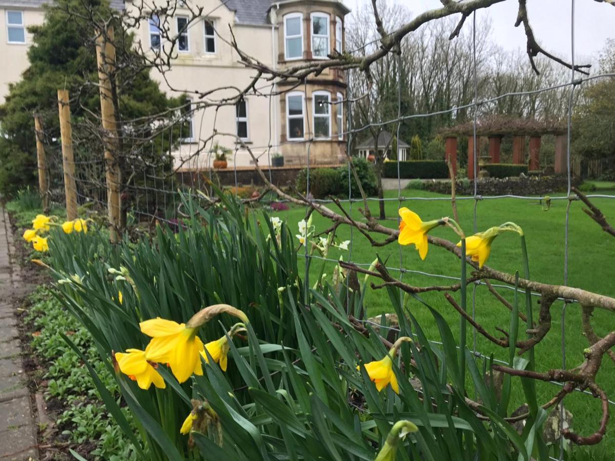 Holywell House B & B Evershot  Exterior photo